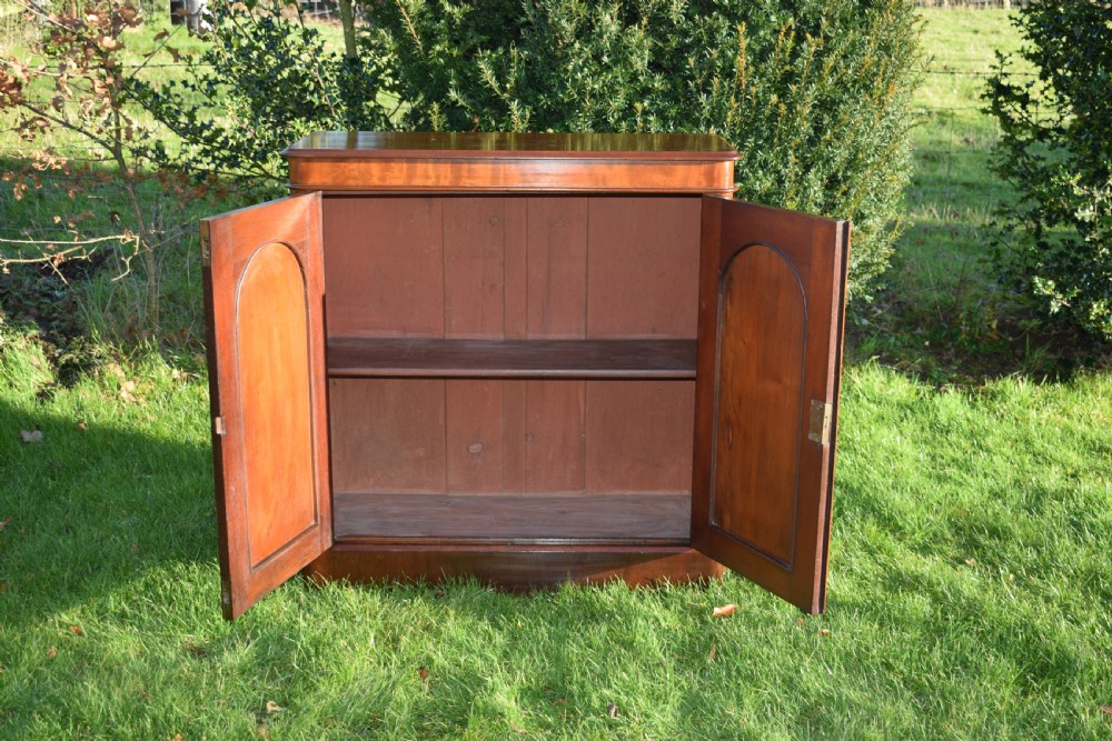 Antique Victorian Two Door Cabinet View VII