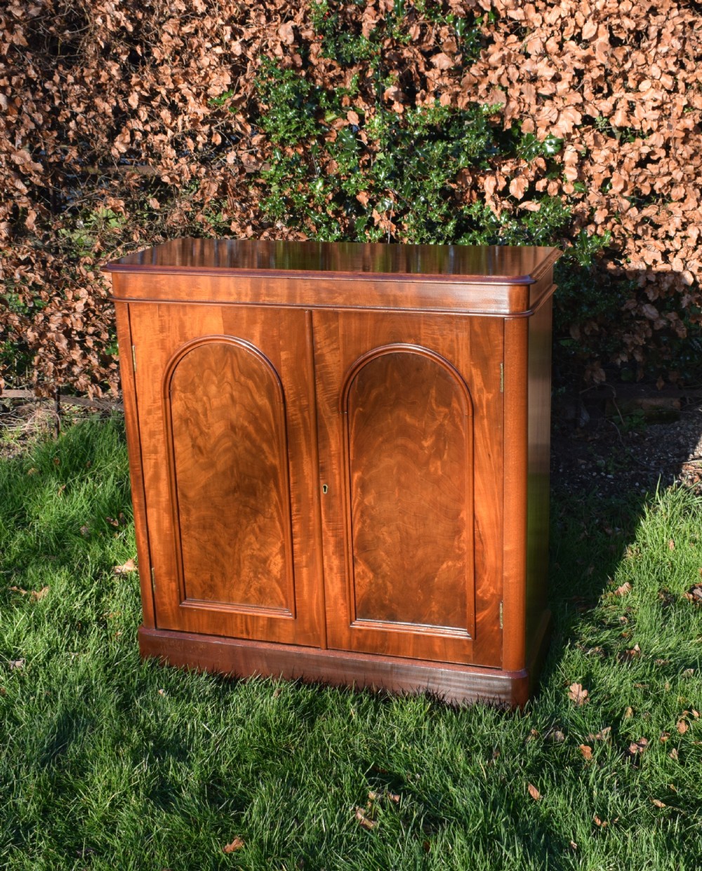 Antique Victorian Two Door Cabinet View IX