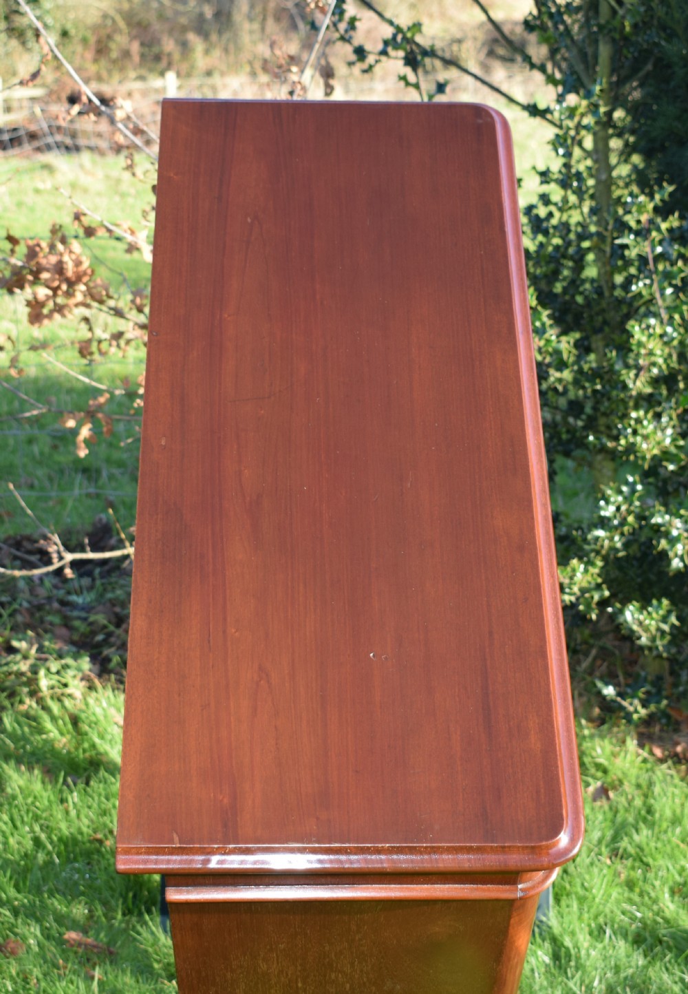 Antique Victorian Two Door Cabinet View XI