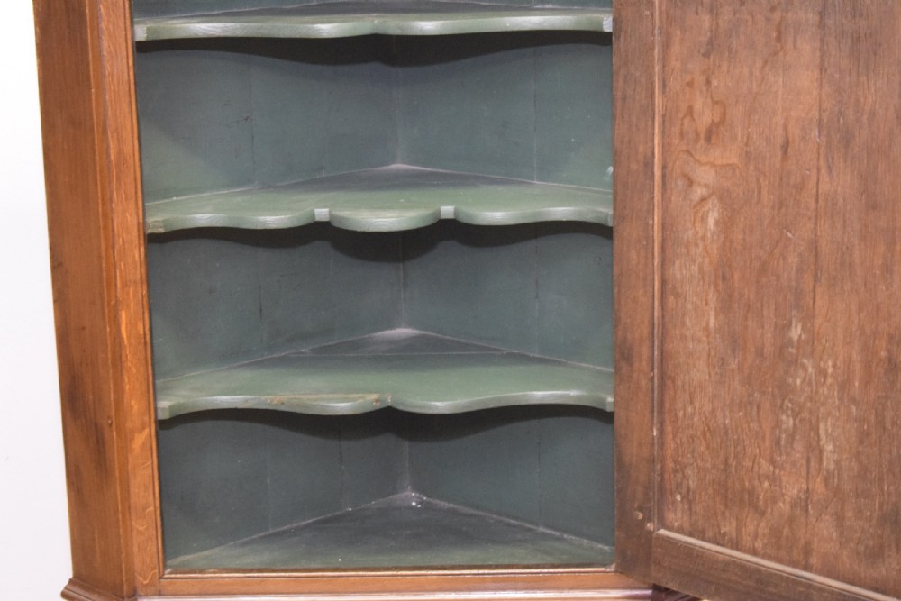 Antique Georgian Corner Cupboard View IX