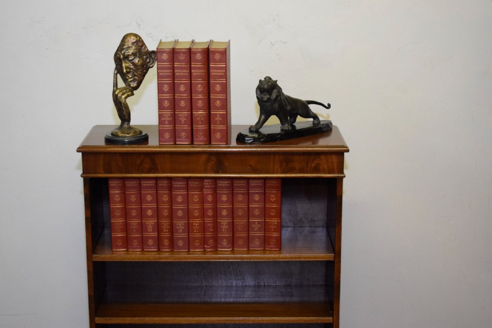 Antique Bookcase View IV