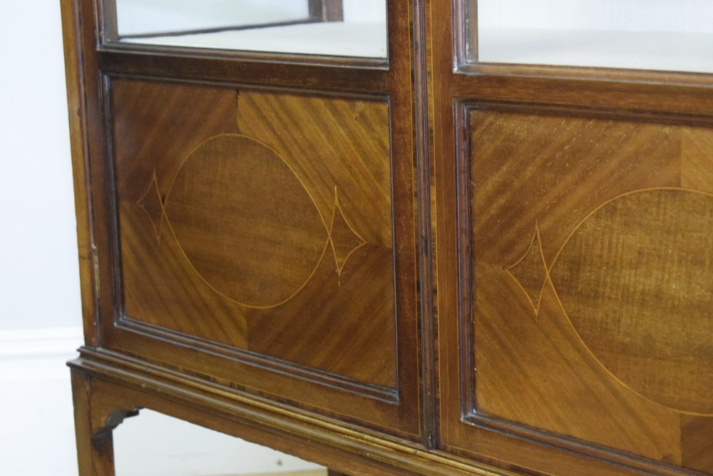 Antique Edwardian Display Cabinet View IX
