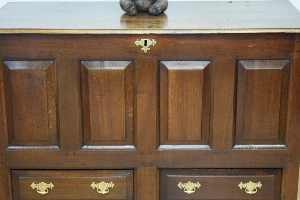 A dark Georgian oak mule chest featuring four fielded front panels and two lower drawers with brass swan-neck handles. View VI