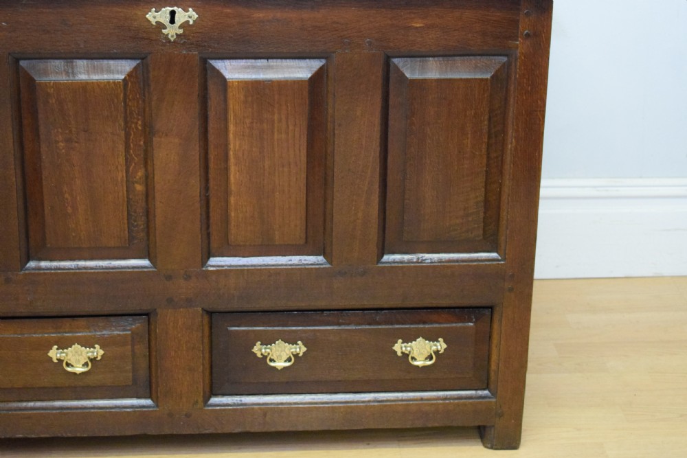 A dark Georgian oak mule chest featuring four fielded front panels and two lower drawers with brass swan-neck handles. View VII