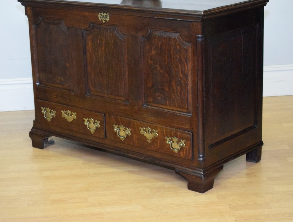 Early 18th Century Mule Chest View IV