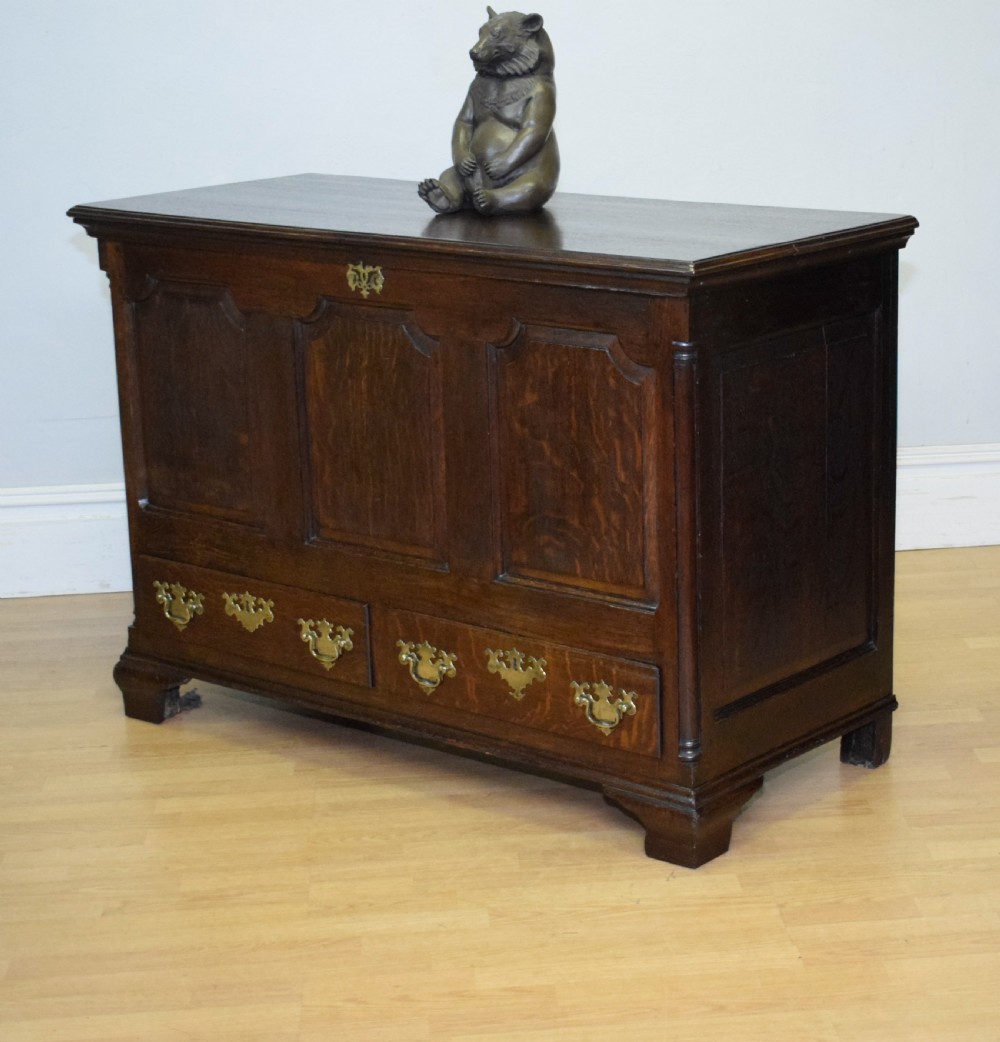 Early 18th Century Mule Chest View VI