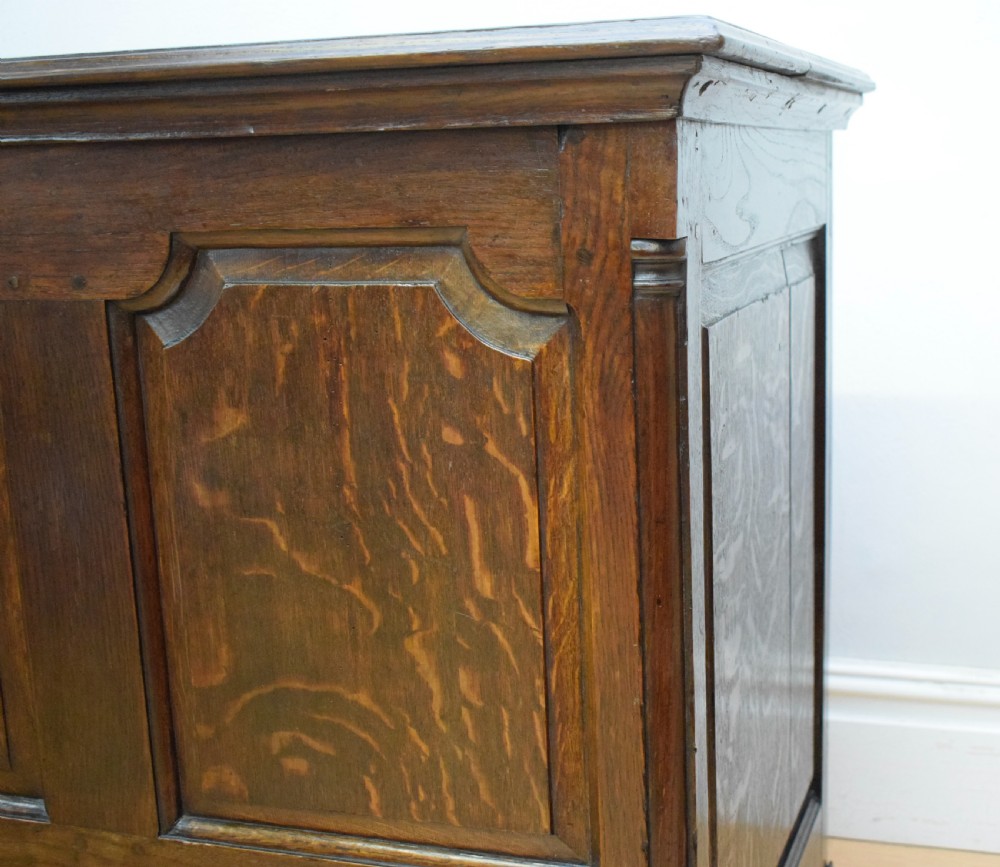 Early 18th Century Mule Chest View VIII