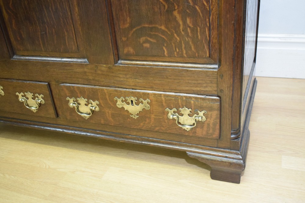 Early 18th Century Mule Chest View IX