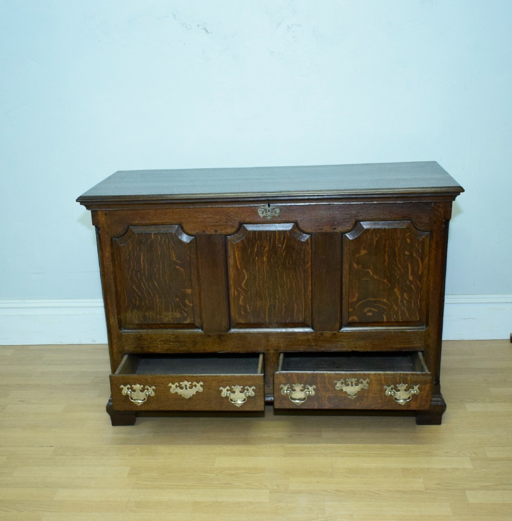 Early 18th Century Mule Chest View XI