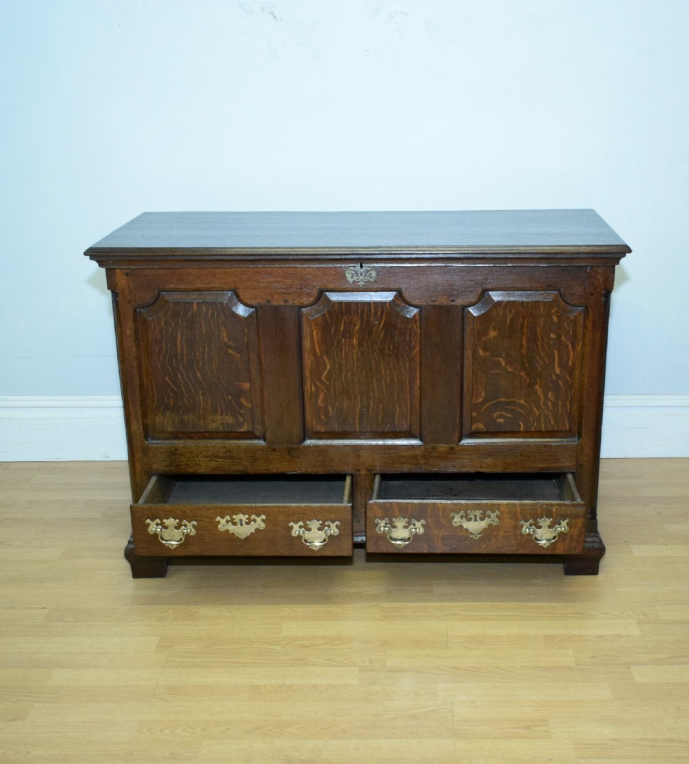 Early 18th Century Mule Chest View XII