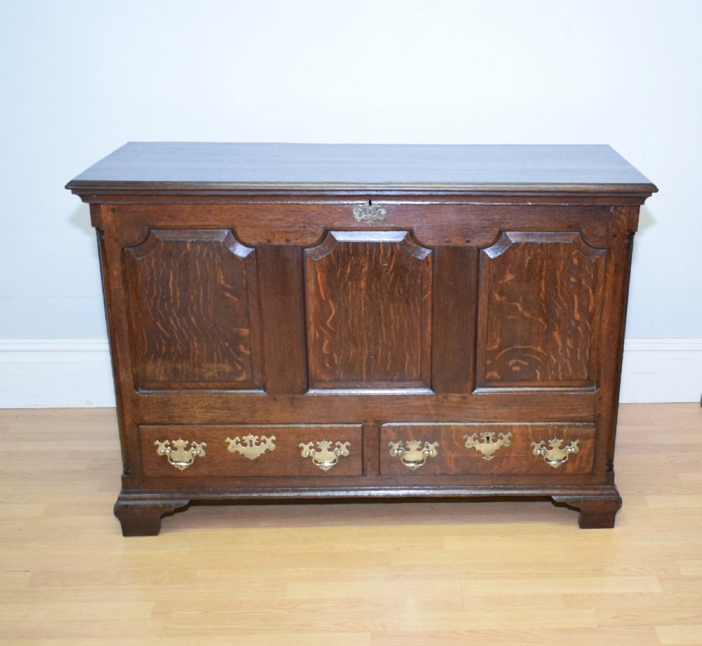 Early 18th Century Mule Chest View XIX