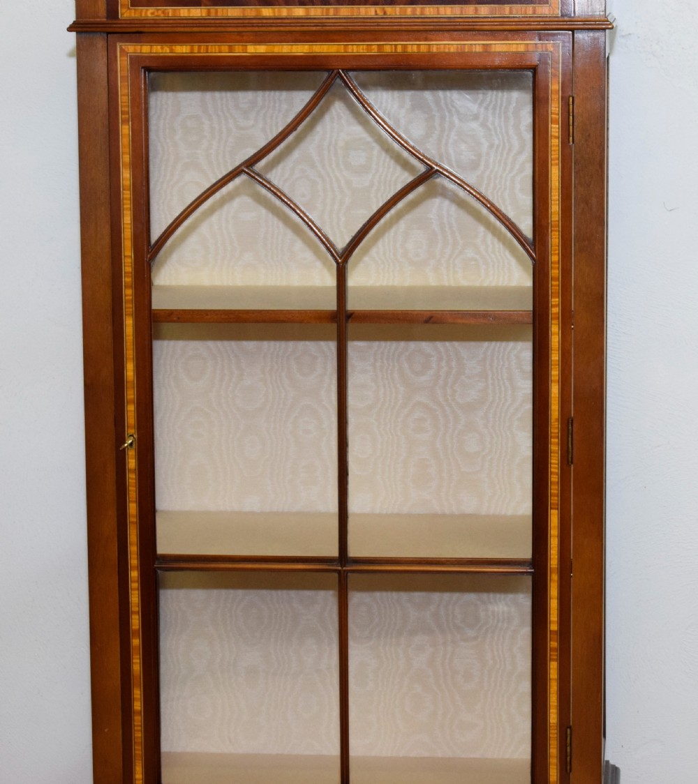 Early 20th Century Display Cabinet View IV