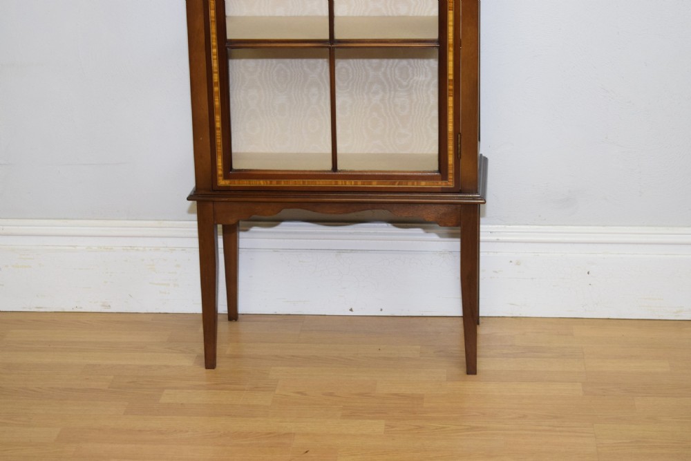 Early 20th Century Display Cabinet View V