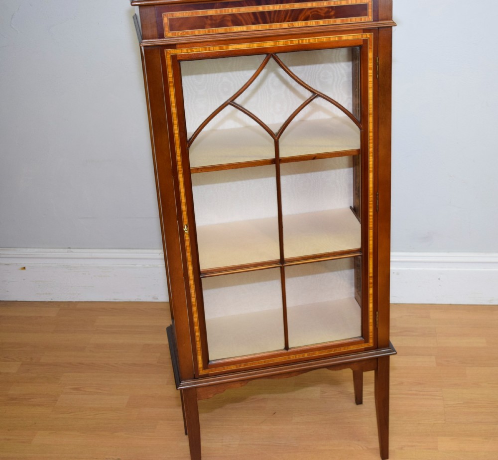 Early 20th Century Display Cabinet View XII