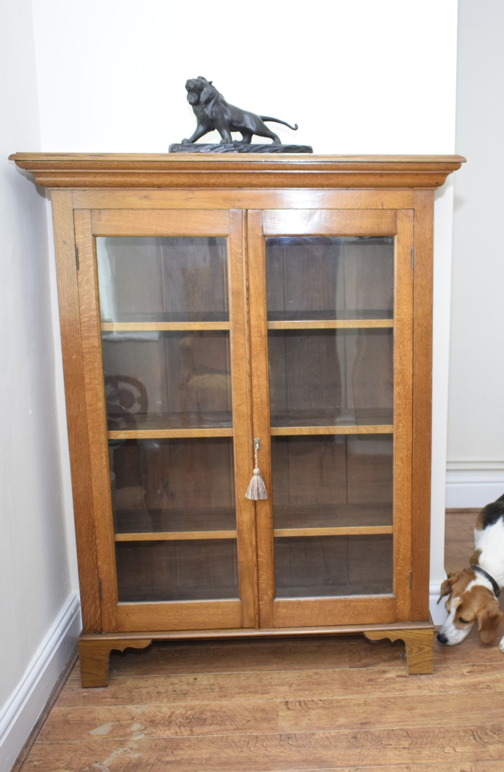 Edwardian Oak Bookcase View VI