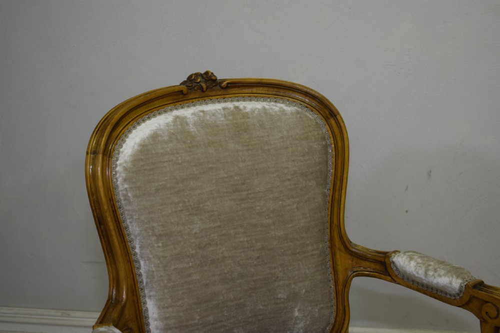 Early 20th Century French Armchair View XIV