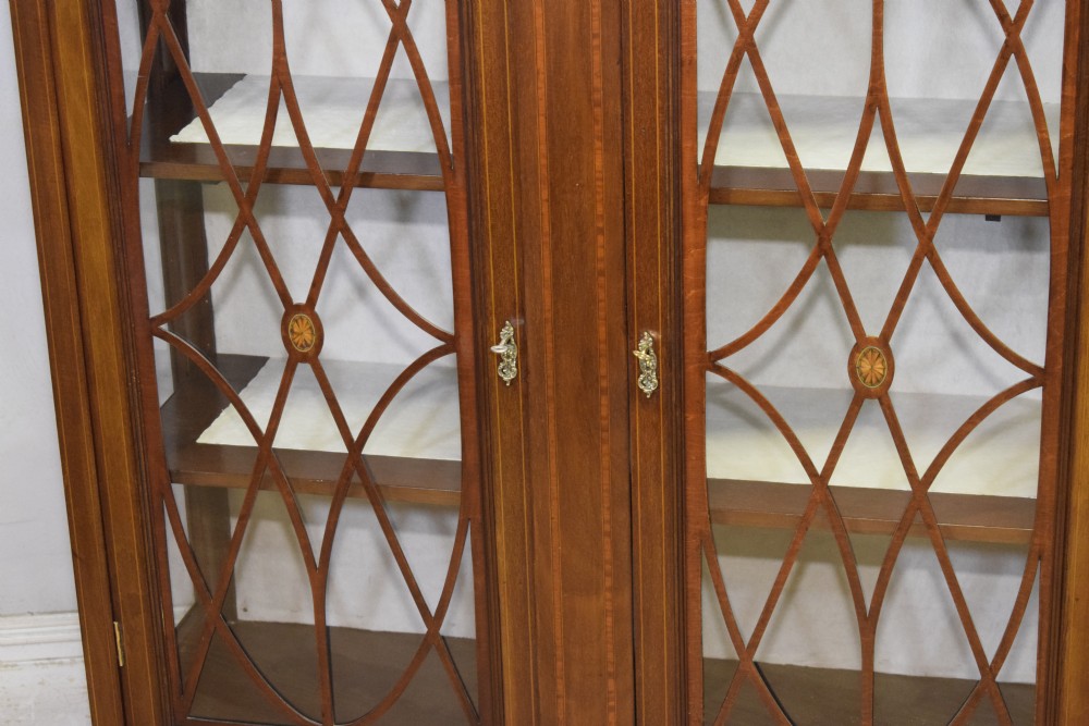 Edwardian Mahogany Inlaid Display Cabinet View IX