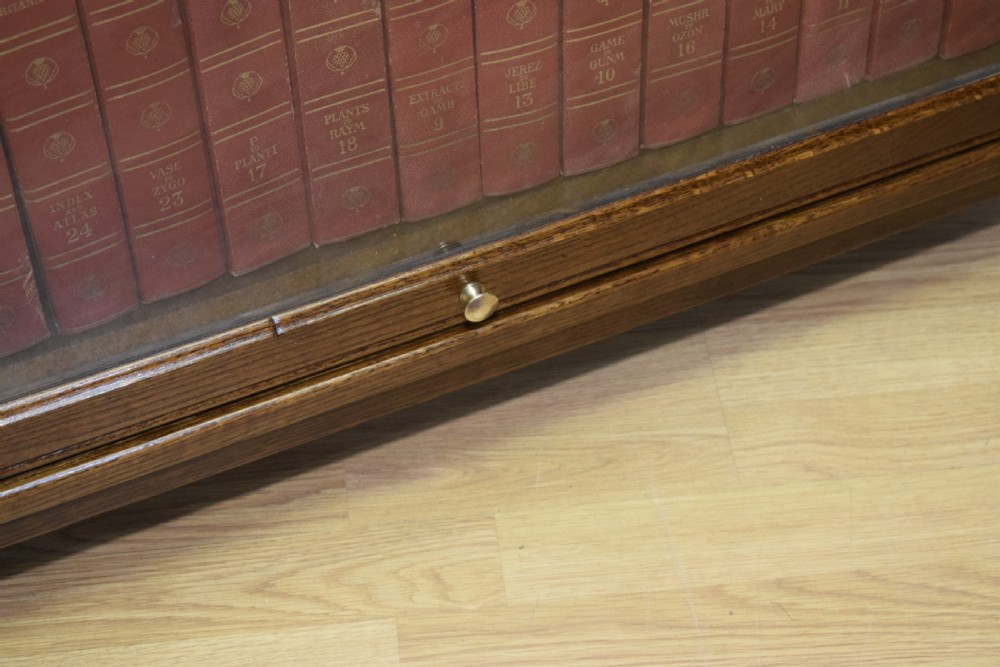 Early 20th Century Oak Bookcase View X
