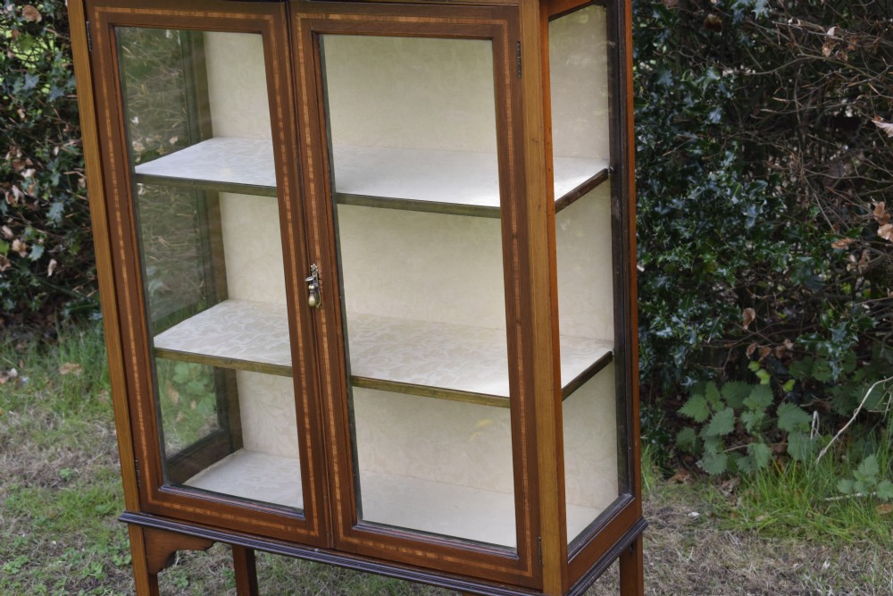 Edwardian Display Cabinet View V