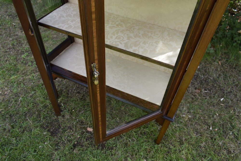 Edwardian Display Cabinet View XVI