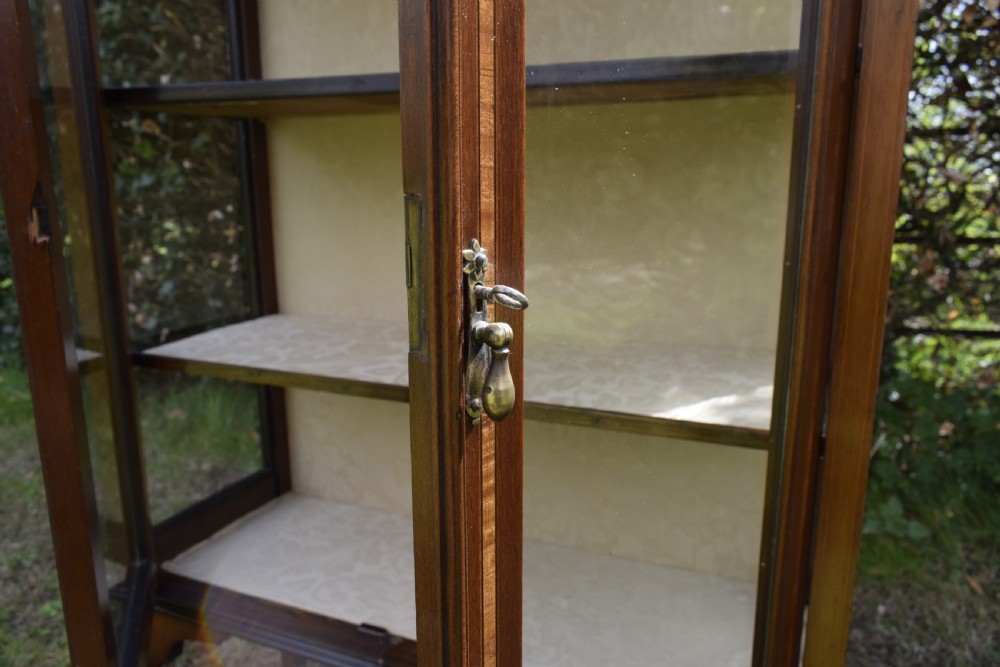 Edwardian Display Cabinet View XVII
