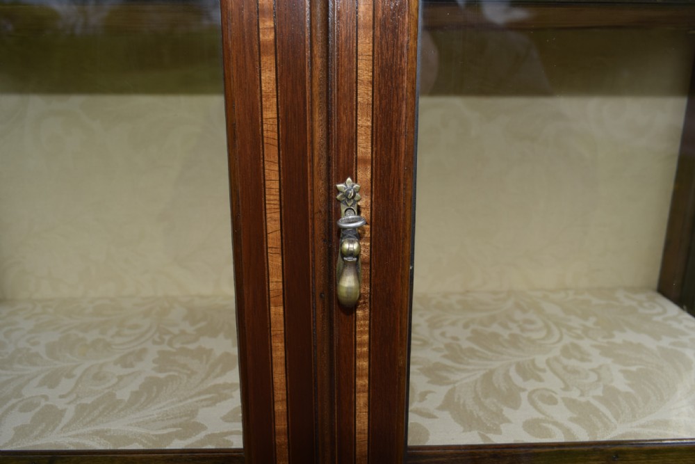Edwardian Display Cabinet View XVIII
