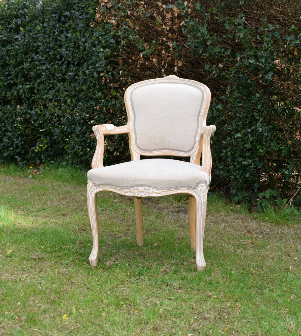 early 20th Century French Armchair View IV
