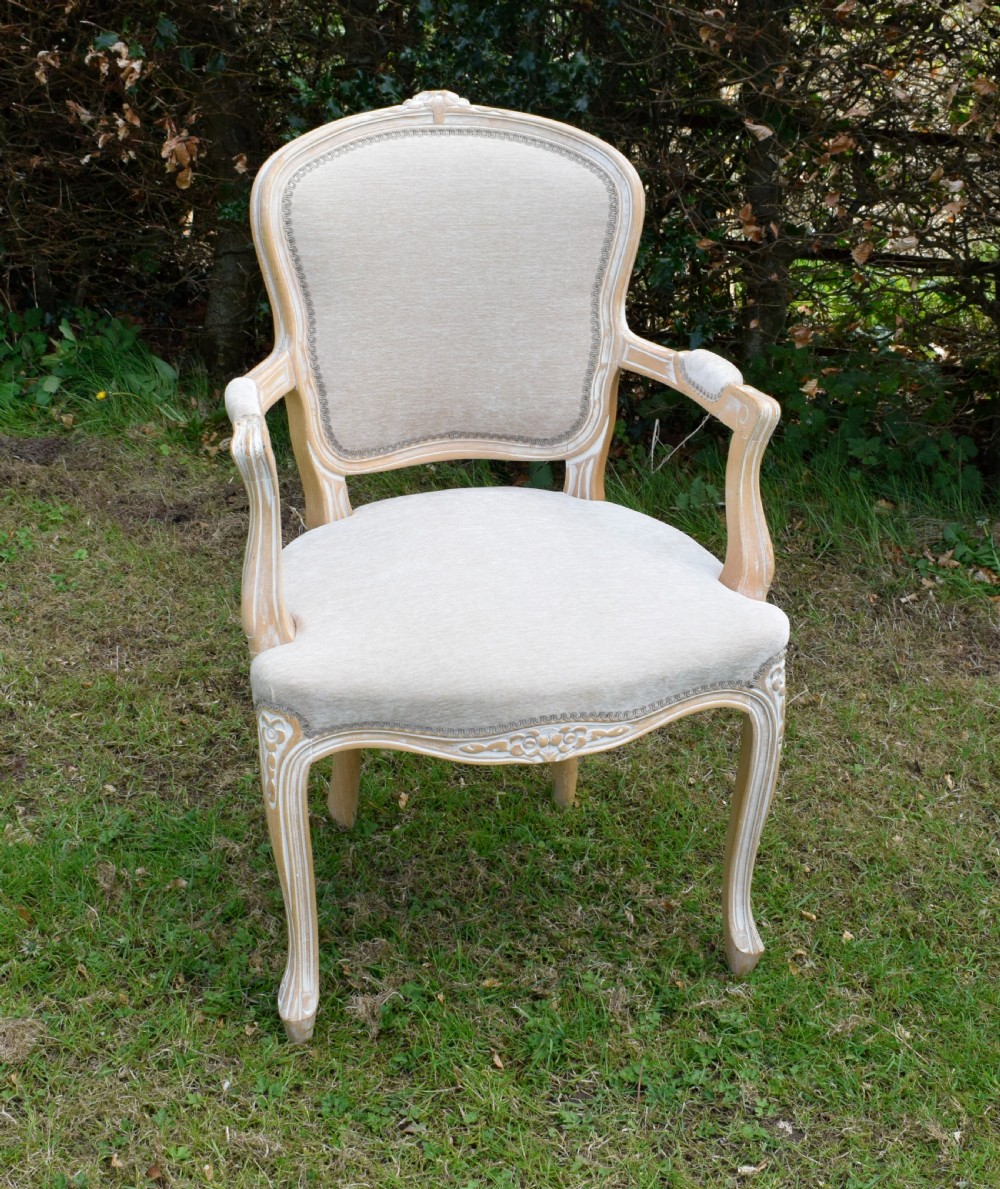 early 20th Century French Armchair View VII