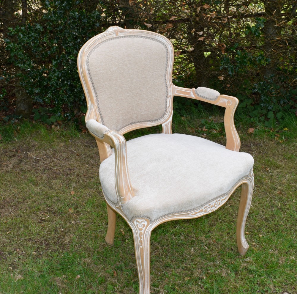 early 20th Century French Armchair View IX