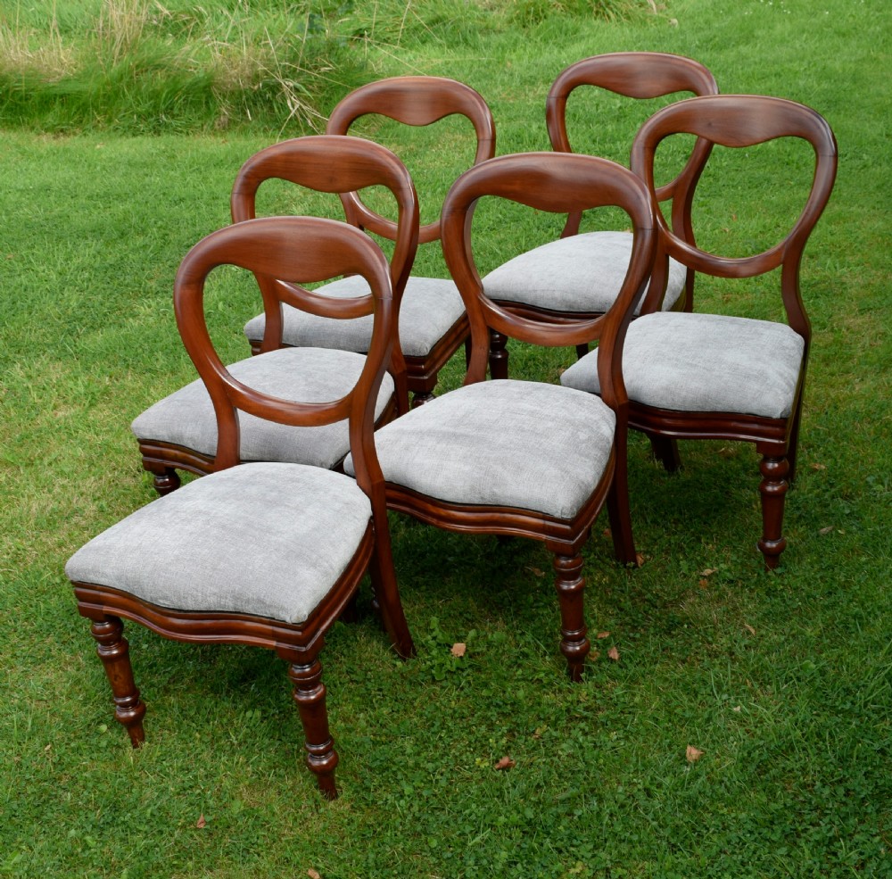 6 Victorian Balloon Back Dining Chairs