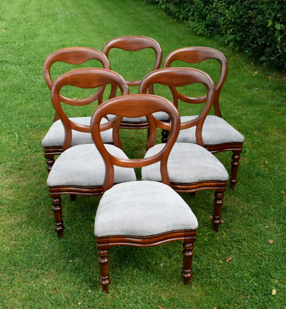 6 Victorian Balloon Back Dining Chairs View IV