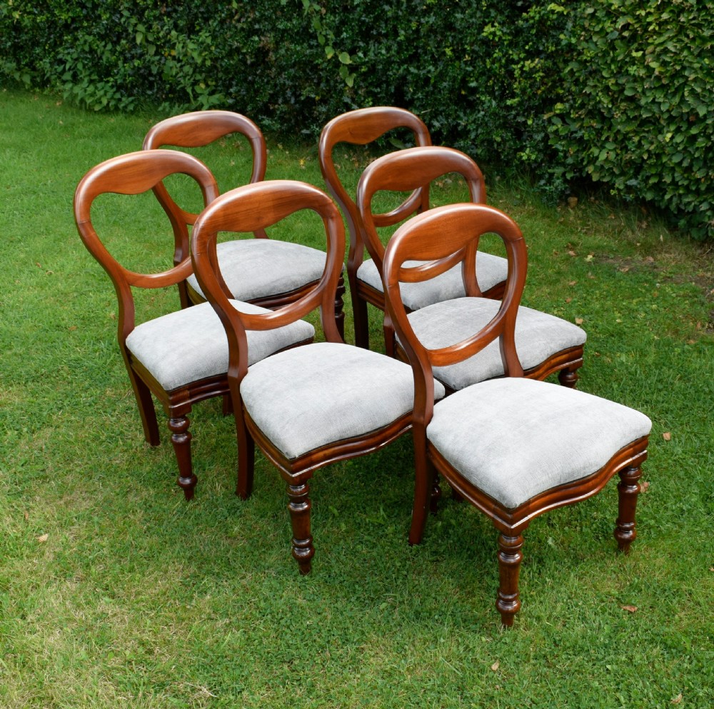 6 Victorian Balloon Back Dining Chairs View V