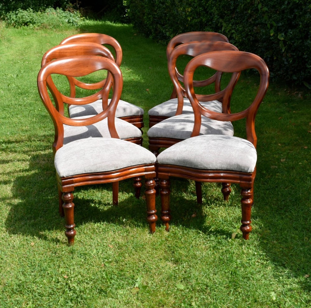 6 Victorian Balloon Back Dining Chairs View VI