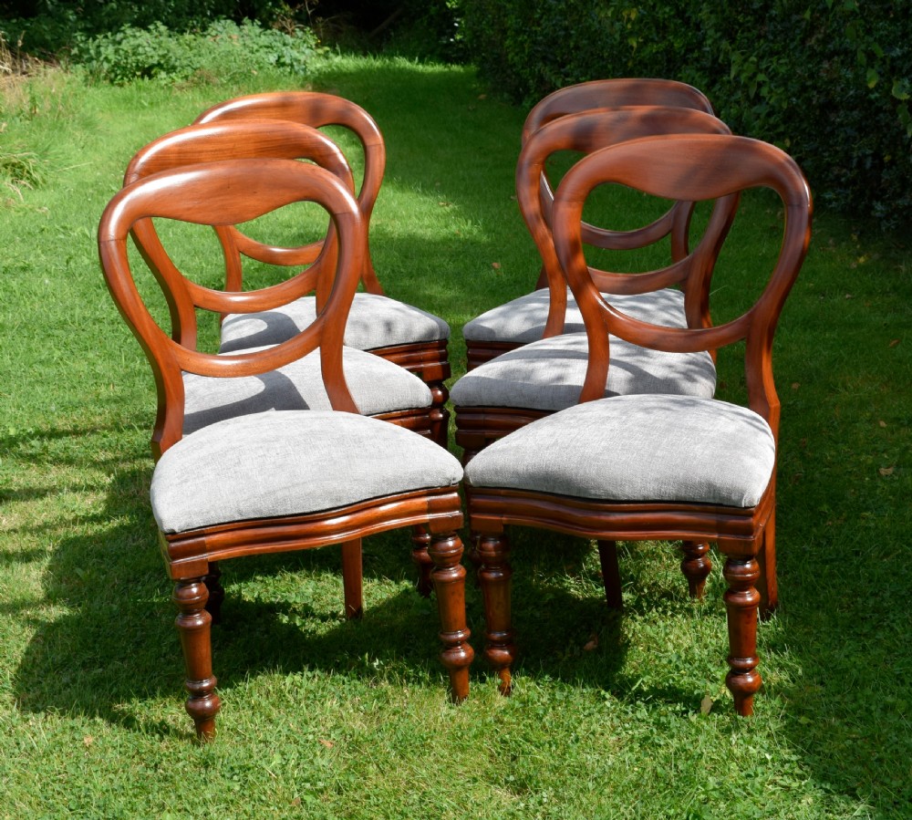 6 Victorian Balloon Back Dining Chairs View VIII