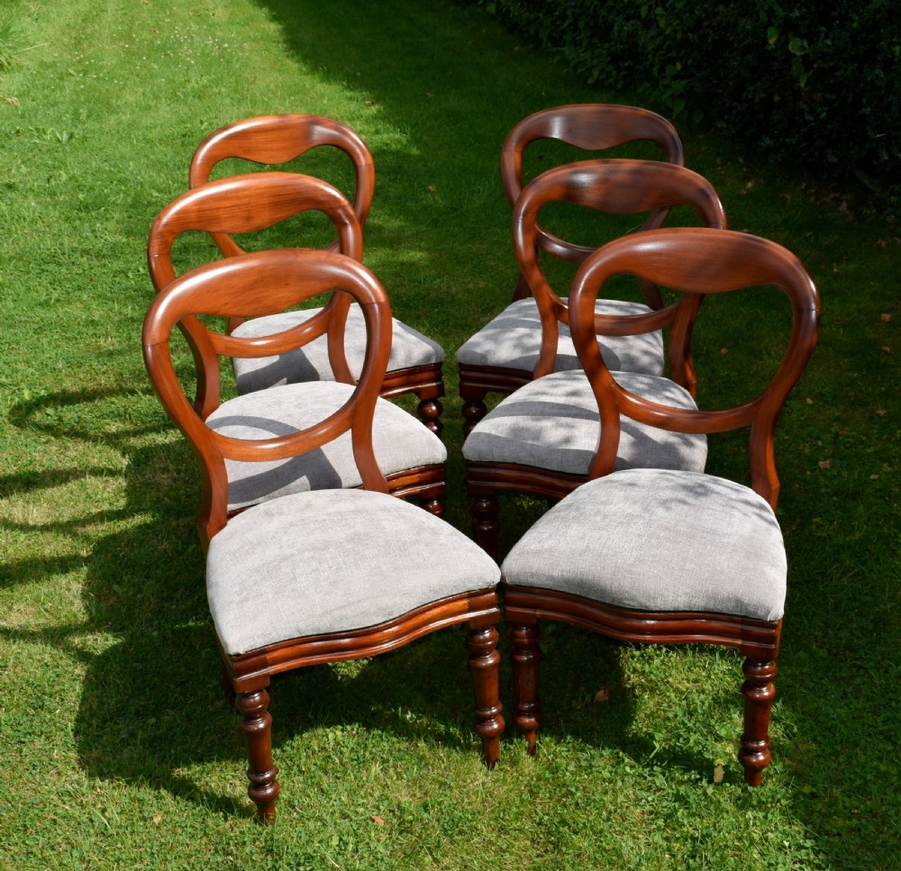 6 Victorian Balloon Back Dining Chairs View IX