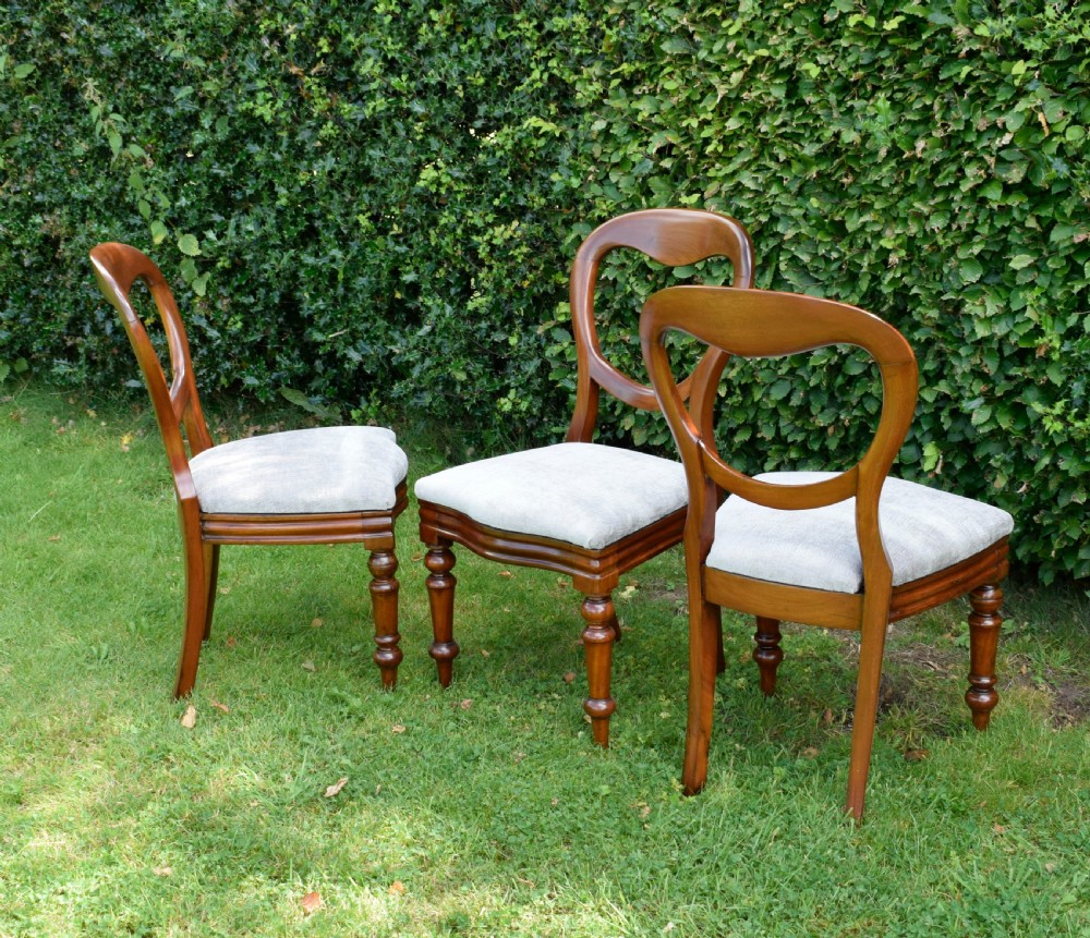 6 Victorian Balloon Back Dining Chairs View XV