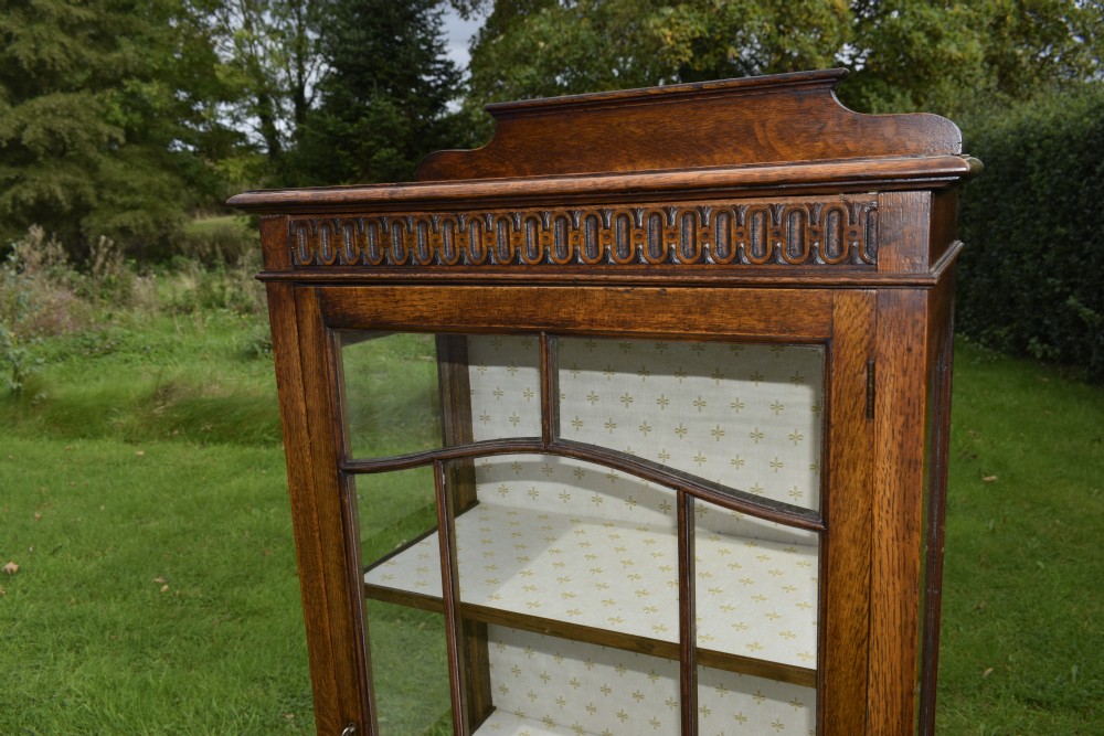 Early 20th Century Oak Display Cabinet View X