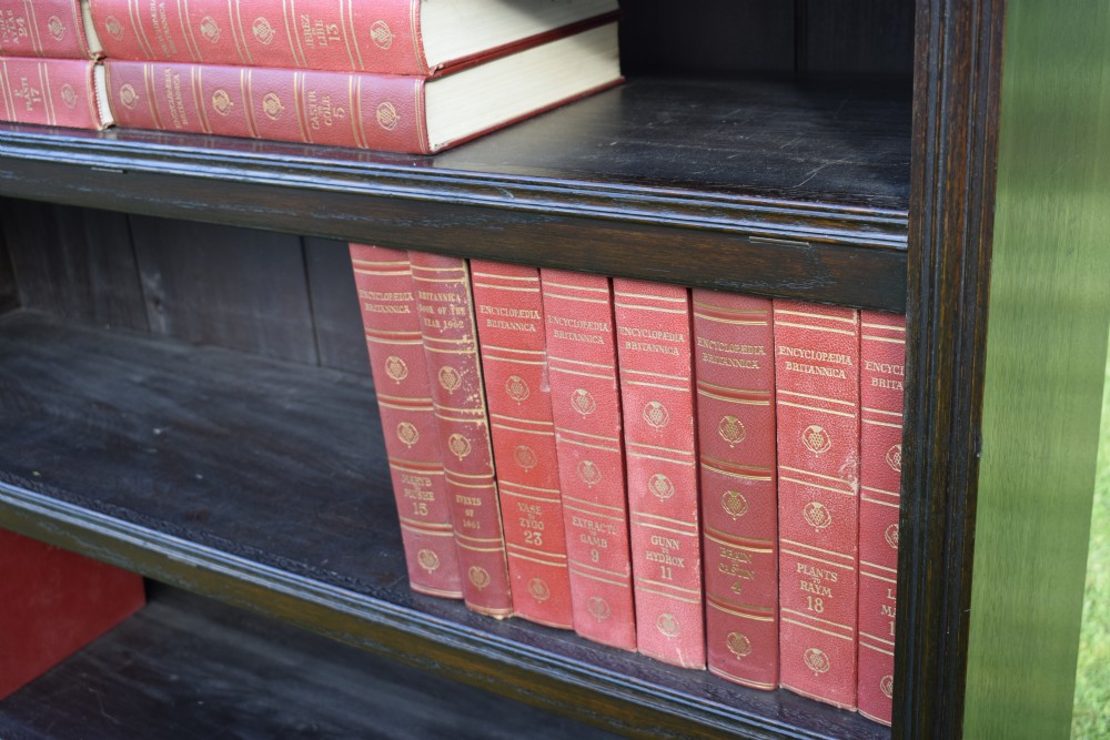 Victorian Oak Bookcase View XV