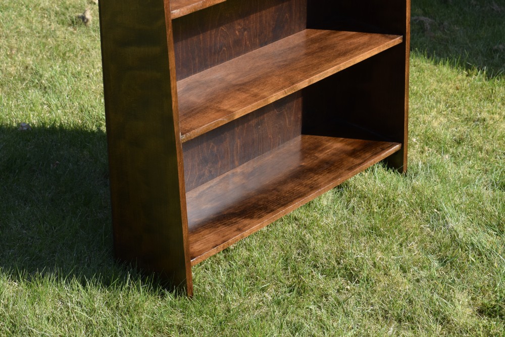 Early 20th Century Bookcase View V