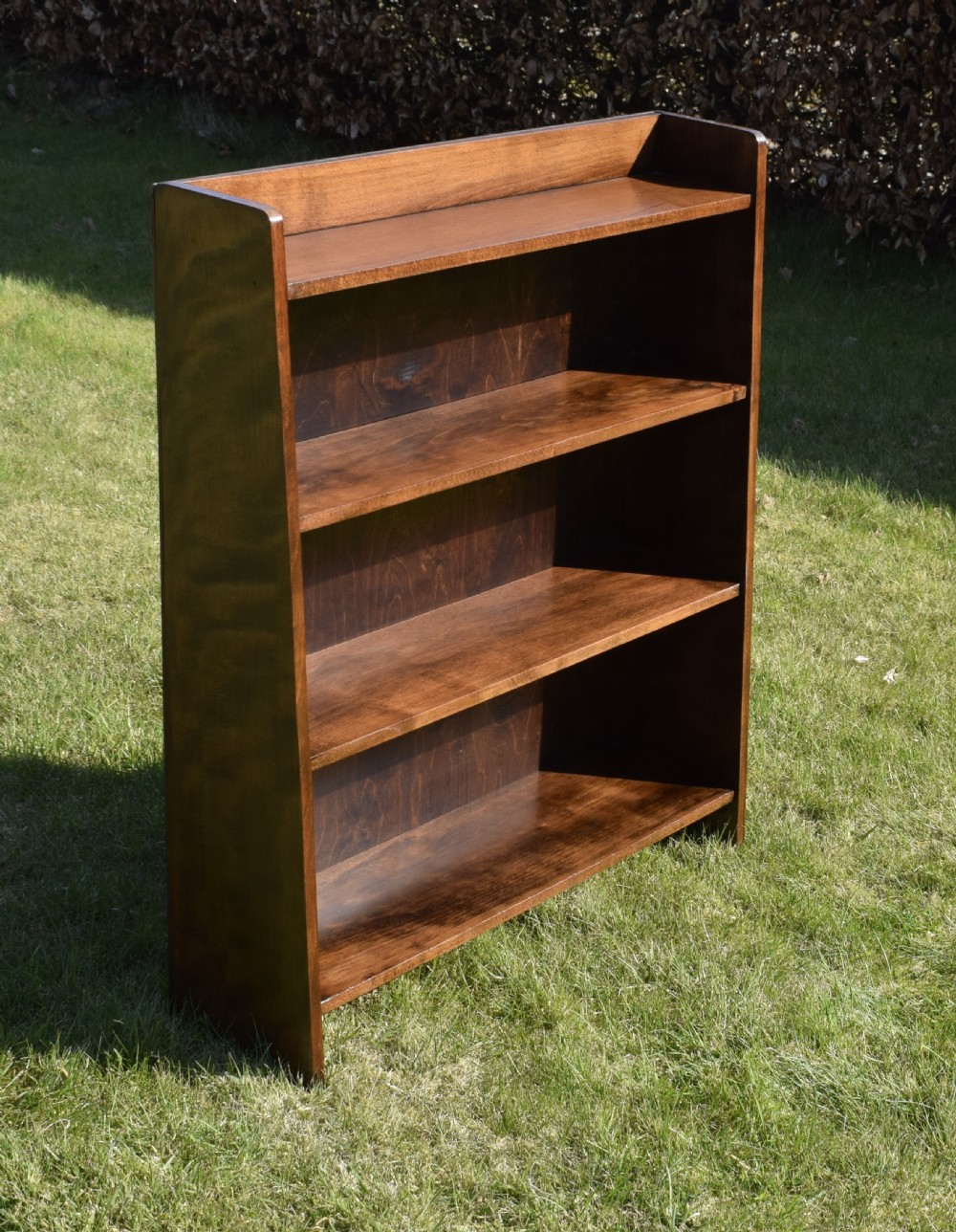 Early 20th Century Bookcase View IX