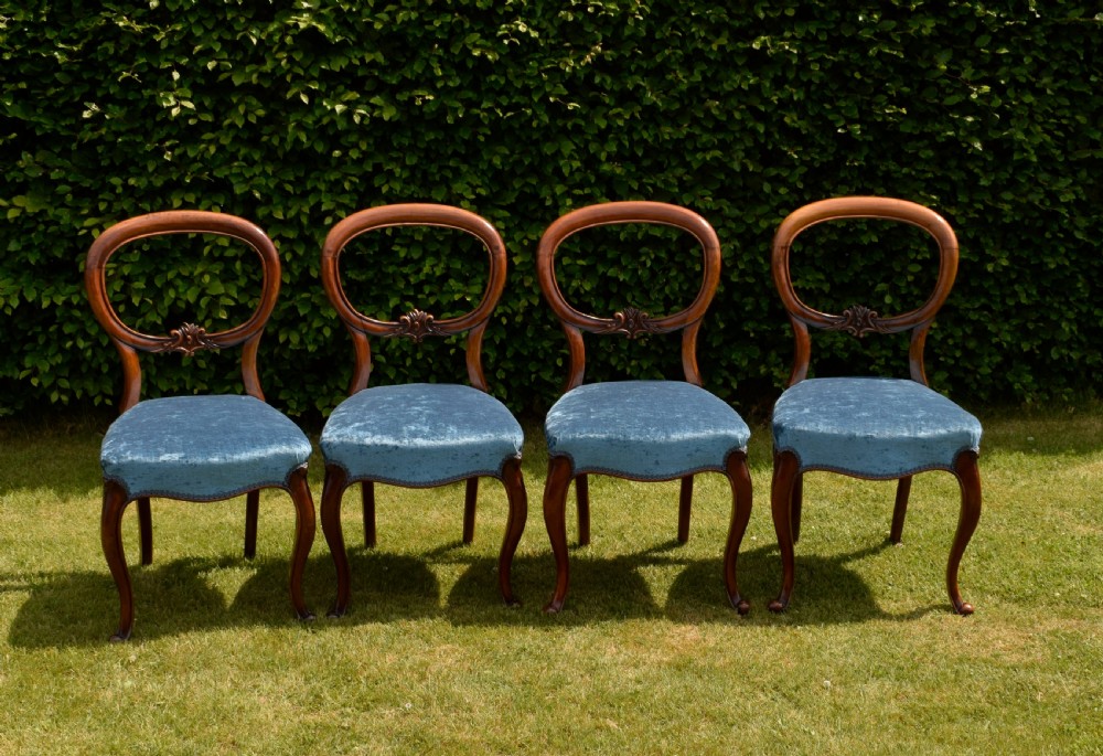 A set of four Victorian balloon back dining chairs crafted from polished walnut with blue velvet upholstered seats and carved crossbars above cabriole front legs.