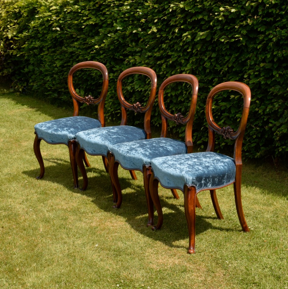A set of four Victorian balloon back dining chairs crafted from polished walnut with blue velvet upholstered seats and carved crossbars above cabriole front legs. View III