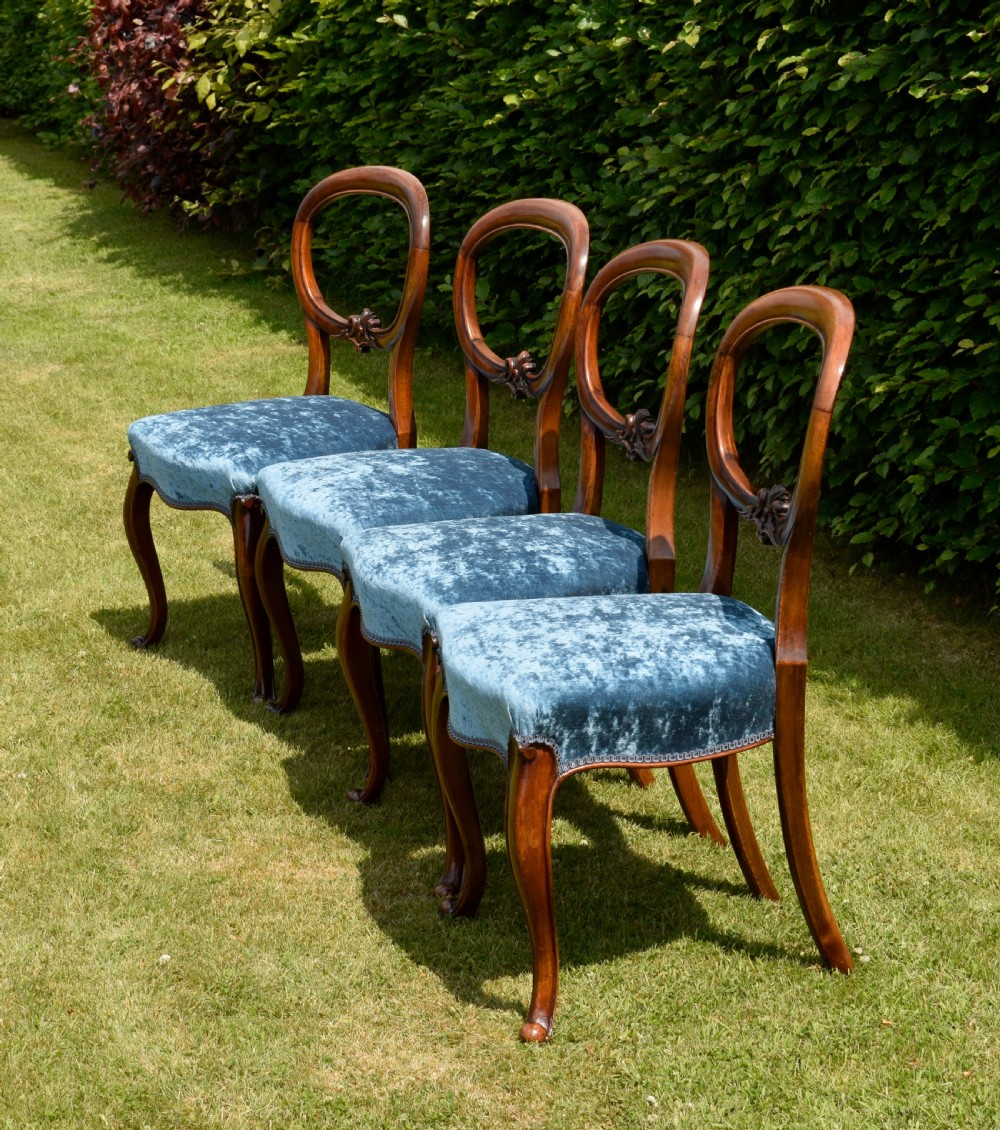 A set of four Victorian balloon back dining chairs crafted from polished walnut with blue velvet upholstered seats and carved crossbars above cabriole front legs. View V