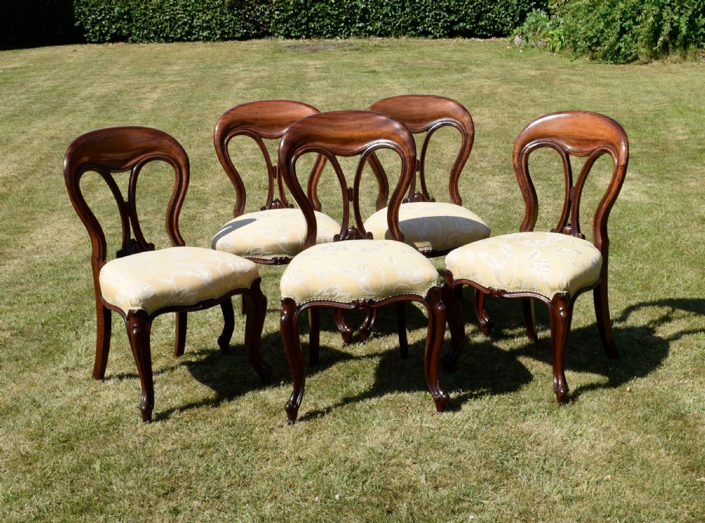 A set of five Victorian mahogany balloon back dining chairs with carved cabriole front legs and pale cream pattern-upholstered seats.