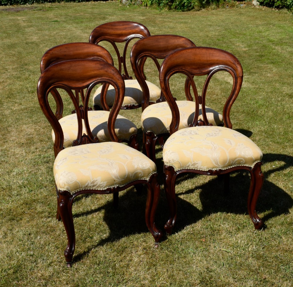 A set of five Victorian mahogany balloon back dining chairs with carved cabriole front legs and pale cream pattern-upholstered seats. View V