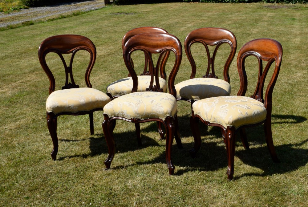 A set of five Victorian mahogany balloon back dining chairs with carved cabriole front legs and pale cream pattern-upholstered seats. View VIII