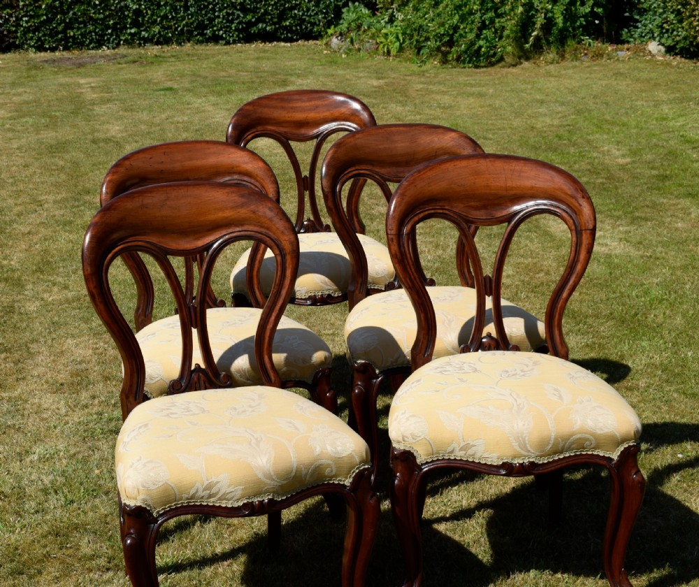 A set of five Victorian mahogany balloon back dining chairs with carved cabriole front legs and pale cream pattern-upholstered seats. View IX