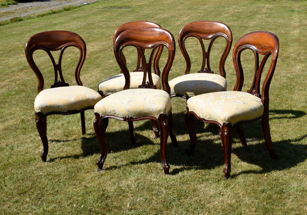 A set of five Victorian mahogany balloon back dining chairs with carved cabriole front legs and pale cream pattern-upholstered seats. View X