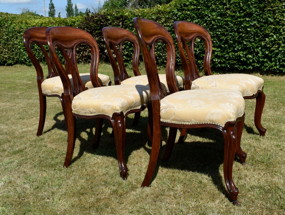 A set of five Victorian mahogany balloon back dining chairs with carved cabriole front legs and pale cream pattern-upholstered seats. View XVII