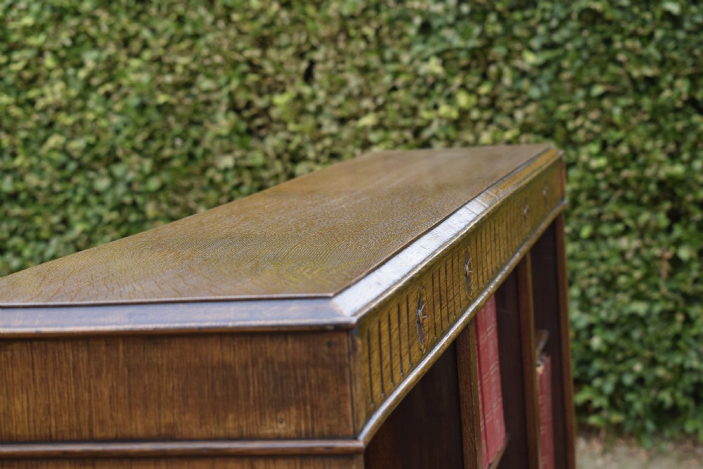 Early 20th Century Oak Bookcase View IX
